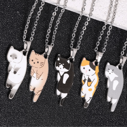 collier-d'amitié-pour-5-chat-fans-de-chat