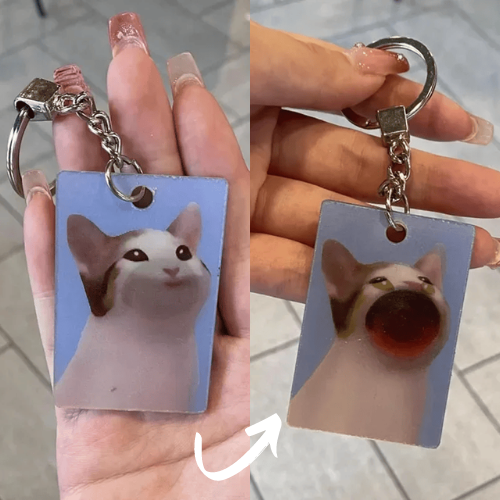 porte clé drole chat